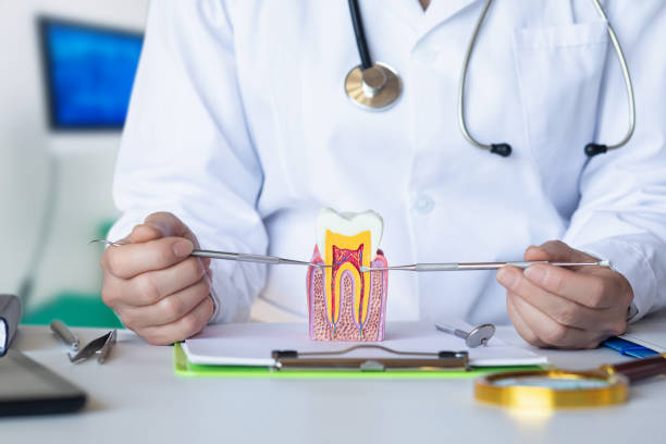 Best Emergency Orthodontic Repairs in Point, TX
